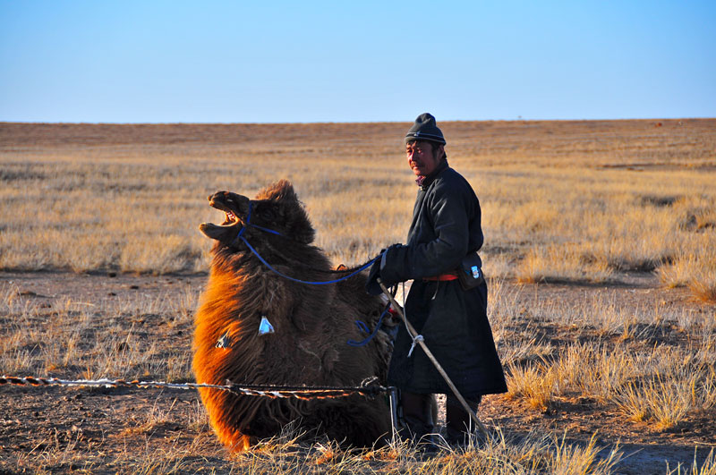 Mongolie